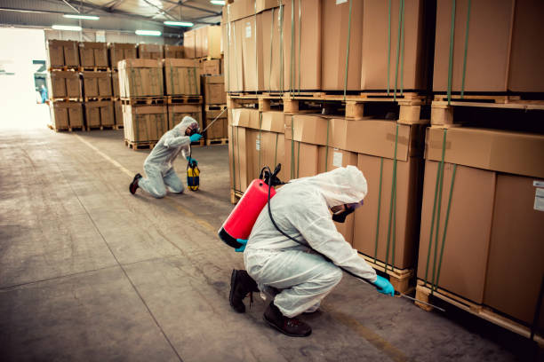 Best Pest Prevention Services  in Woodsfield, OH