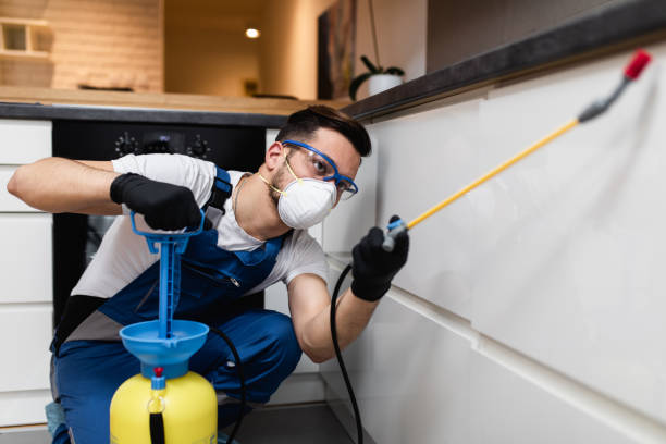 Best Wildlife Control Services  in Woodsfield, OH