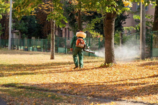 Best Bed Bug Extermination  in Woodsfield, OH