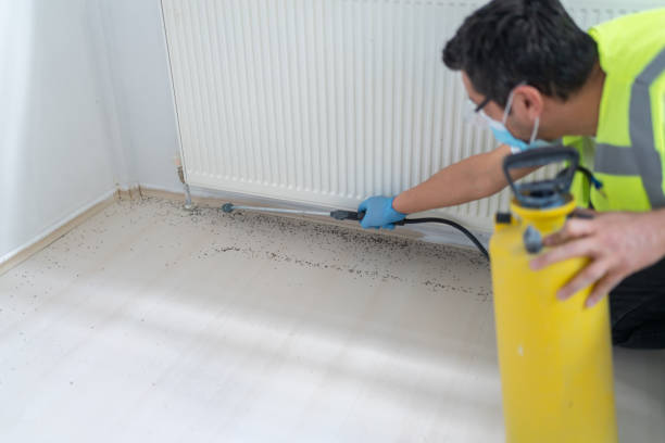 Best Commercial Pest Control Services  in Woodsfield, OH