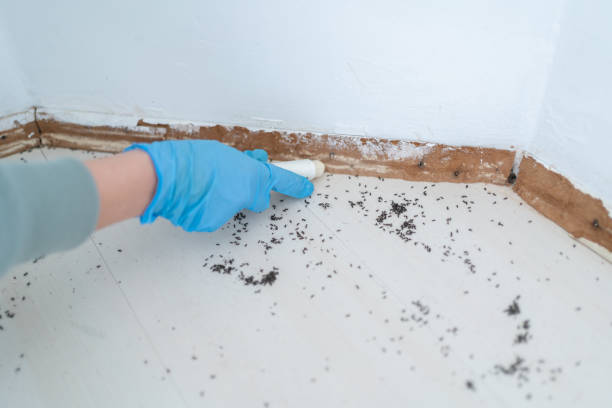 Best Residential Pest Control  in Woodsfield, OH