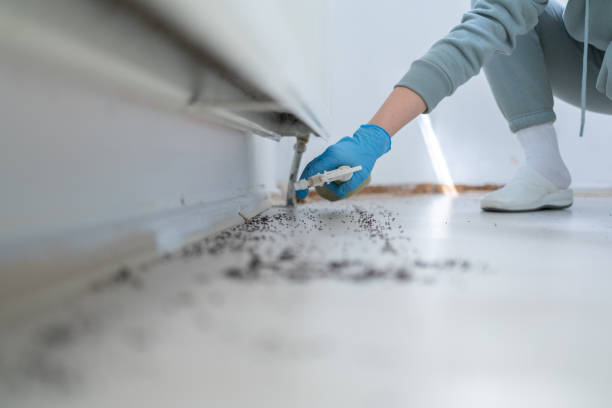 Best Pest Control Near Me in Woodsfield, OH