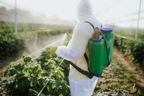Best Termite Control Services  in Woodsfield, OH
